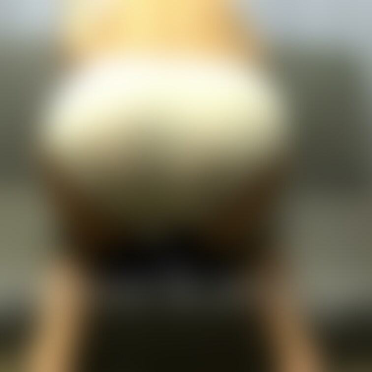 無料プラン毎日投稿更新中です。

オナニー切り抜き画像
よかったらやる気につながるので｢いいね｣よろしくお願いしま