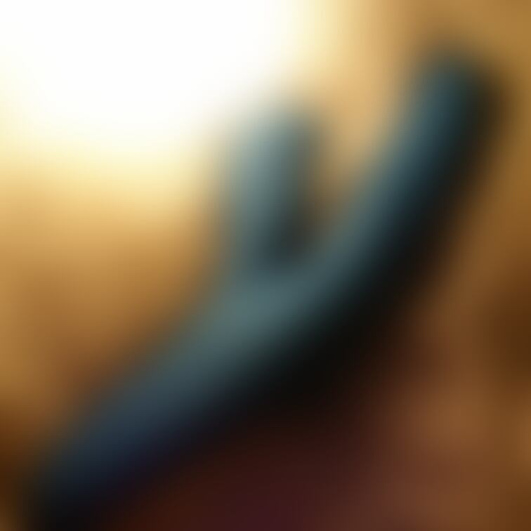 お優しい紳士さまのご厚意に甘えさせていただき…
本日お迎え記念日となりました💕
最高の相棒になりそうじゃない？笑
