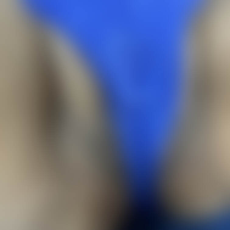 Twitter連動 本日ポスト
別アングルになります