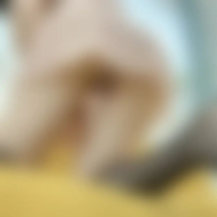 今日はお尻の投稿だよ☺️🩷

パンツが食い込んでるから
けっこう見えてないか心配🥺

大丈夫だよね？