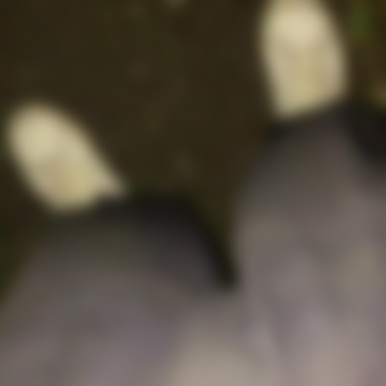 
ムラムラが収まらず、
プチ露出してきました。
くりちんが大っきくなってるのが分かる。

全モザイクから部分モ