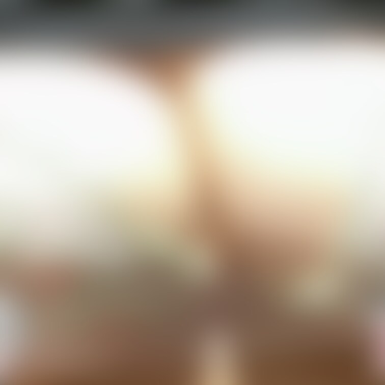 白飛びすごいな