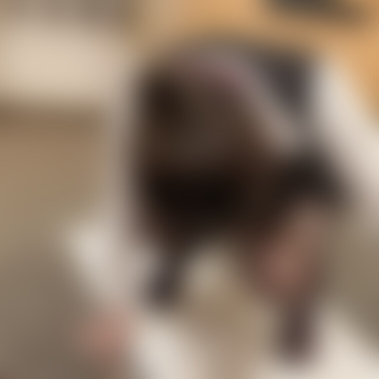 公開がまだまだ出来ていない動画はたくさんありますが、順次公開していくので、楽しみにしていてくださいね🍎

そのうちの