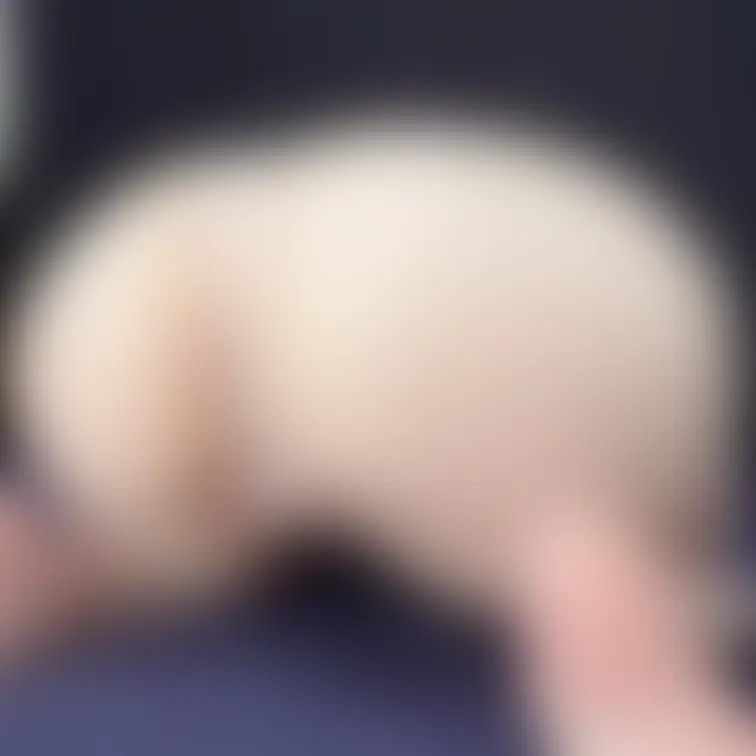 濡れ濡れスケスケパンティです🥰