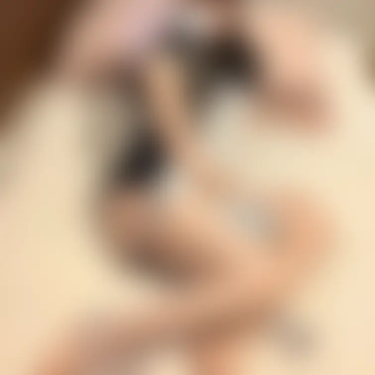 右上のいいねを押してから見てくださいね🐰🎀

もう…私のこと食べちゃうんですか？