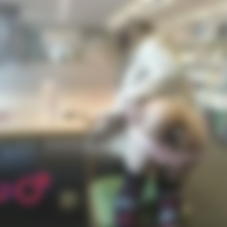 某 図書館で、椅子に座って本を読んでる後ろ姿です♥️暖房効いてて暑い時は脱ぐに限る✨✨✨