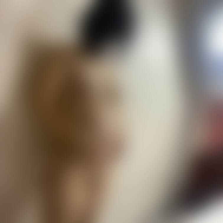 極道の妻、妊婦かえでちゃん