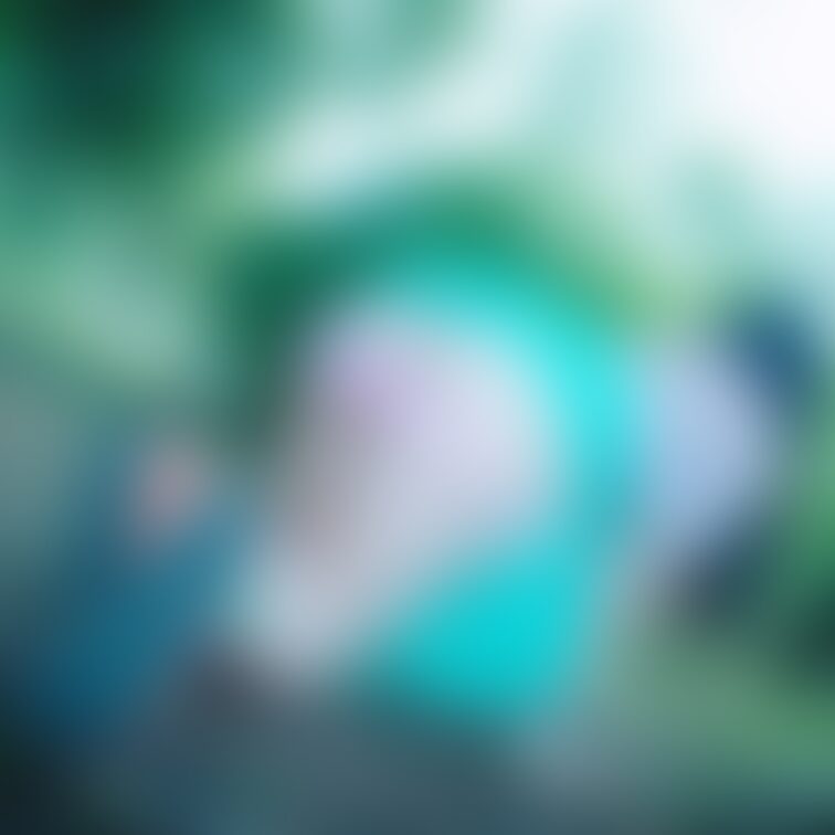 【2枚】みて…