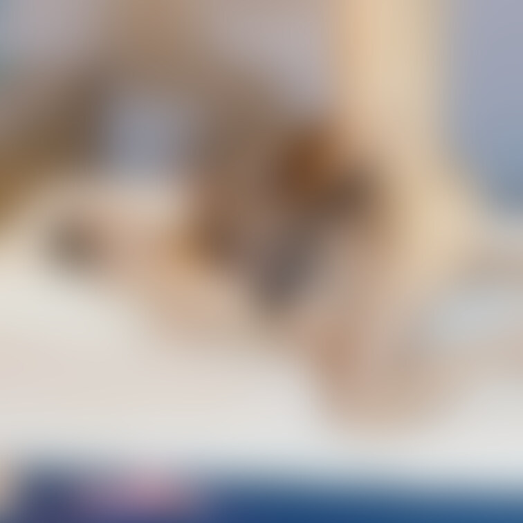 【あみなに興味出てきた🧡】会員様用画像

有料プランには顔出し動画や激薄修正動画も用意してございます💁‍♀️
是非
