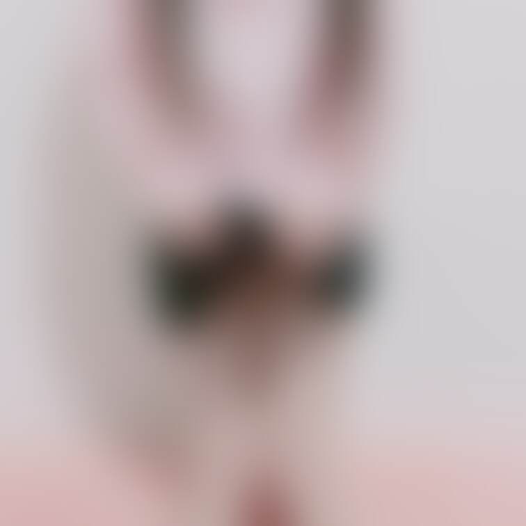 ちら見えプラン見てくれてありがとうございます💕
こちらは見えそうで見えないとかちらっと見えちゃう静止画ゆのちゃんを楽し