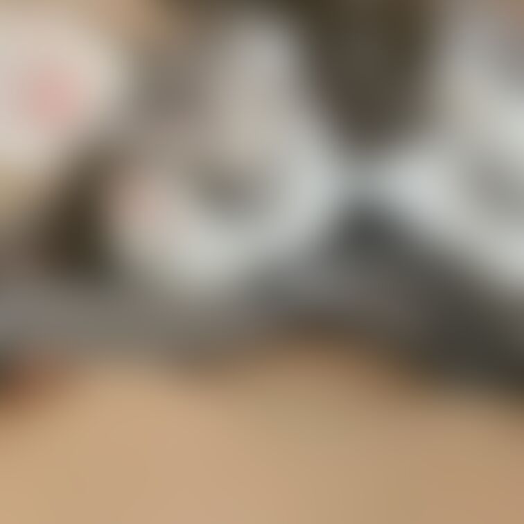 一緒に遊ぼっ🐈❣️

【みみからのお願い💕】 
えっちだと思ってくれた方は 
写真下の♡印をポチッとしてくれると