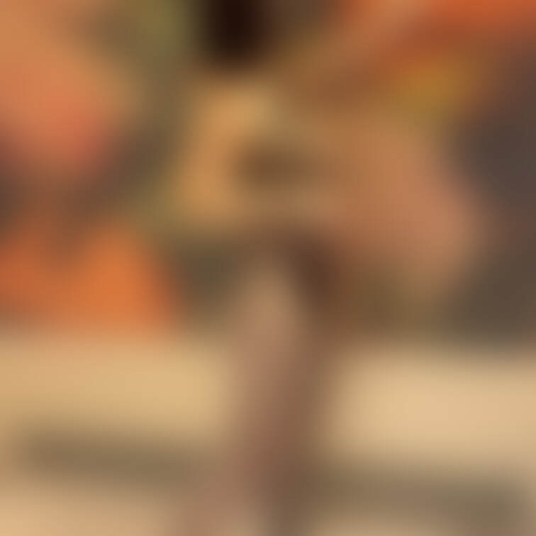 ドスケベ全身網タイツ♡♡♡