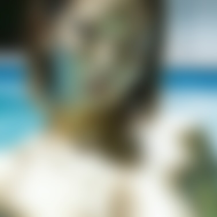 南国でプールを楽しむ金粉美女/ Golden bodypainted girl enjoying vacation (p