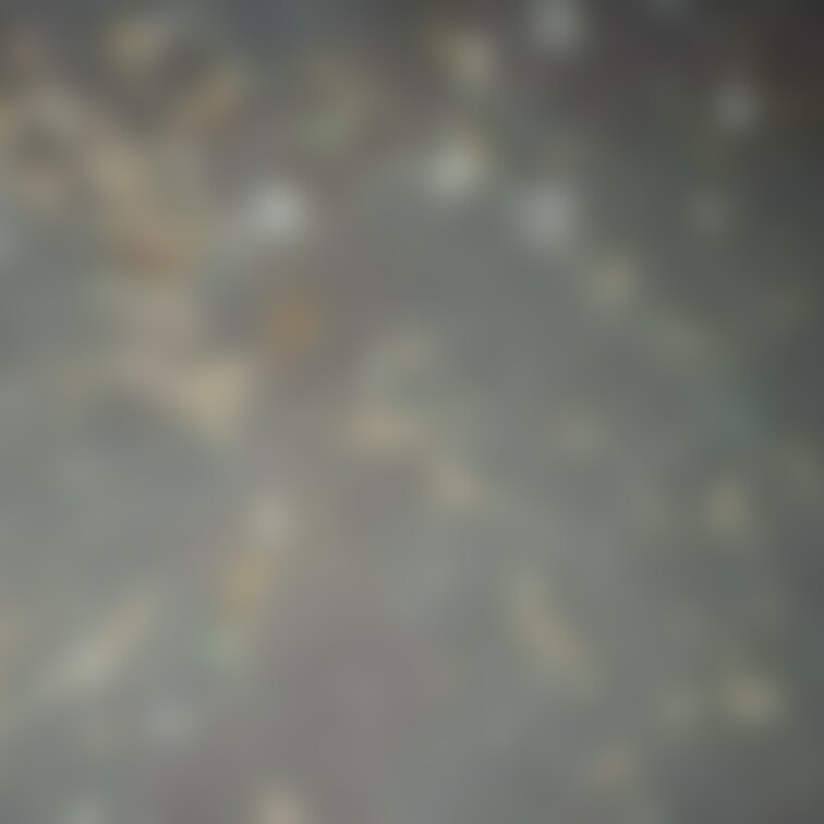 夜になると少し涼しい秋の感じがしてきたある夜のこと、仕事が終わり、いつもの場所でタバコを吸ってぼーっとしていた、そしてぶ