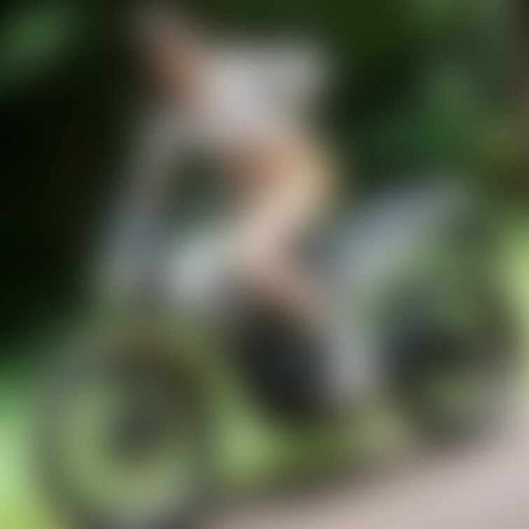 自転車に乗っている女の子を描くと 結構な確率で失敗するんですけど、 バイクは何とかまともな画が完成します。 学習データ数