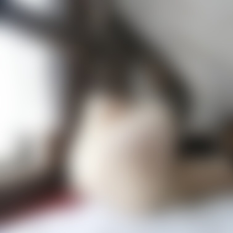 高いよなぁ🥺