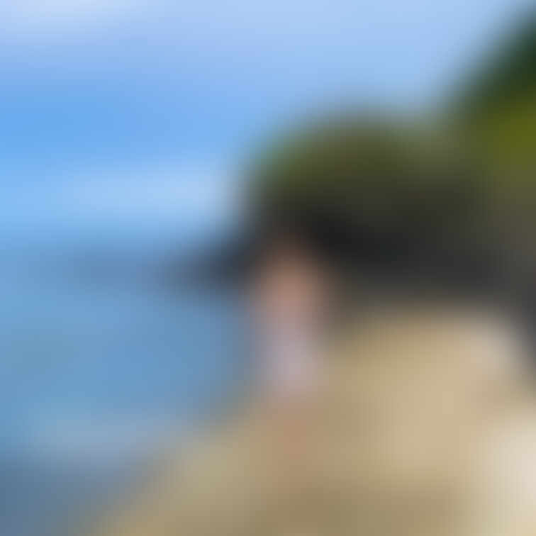 潮の満ち引き、要確認です。