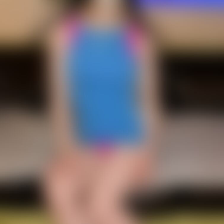 Model (1) Lan