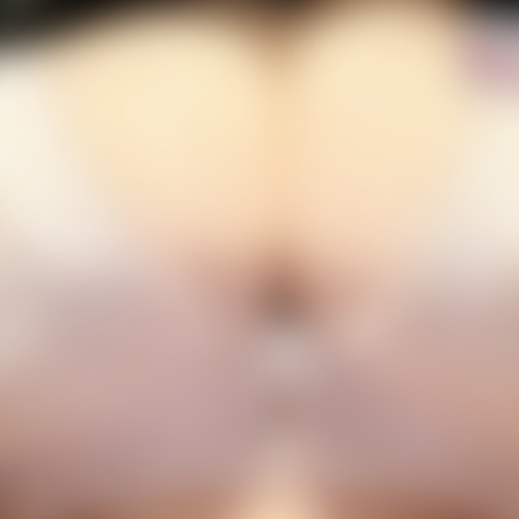 2025.03.25
目がまわってしまう日でした