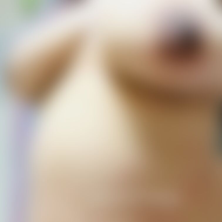 乳輪の色濃い🫣❤️