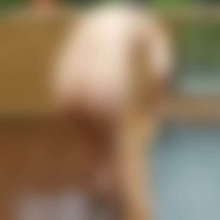 みずきさん。温泉に浸かって気持ちよさそうです。岡山混浴オフ会の時の画像。ちゃんとこの姿でみんなと混浴しました。混浴オフ会