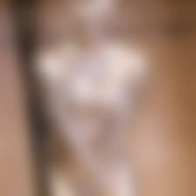 【あの超かわいいアイドル級美女のセクシー銀粉メッシー】
 これまで数回色々なメッシーに挑戦してきてくれたアイドル級の美