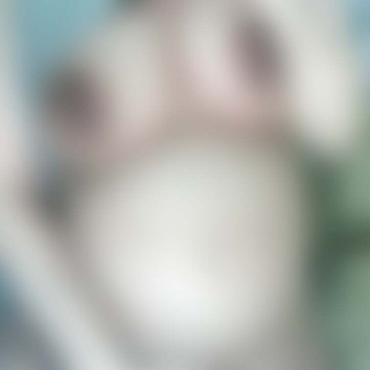 3枚目だけ有料プランのサンプルです！
ちょっとおけけが見える感じが
えっちく見えます💋

おっぱいもみっ///