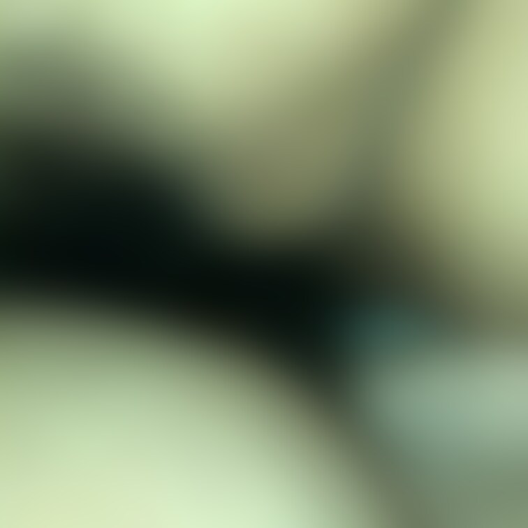写真はお試しプランの投稿だけ残して、数日でバックナンバーへ移行させますので見れなくなります😌
動画は後日投稿します😊