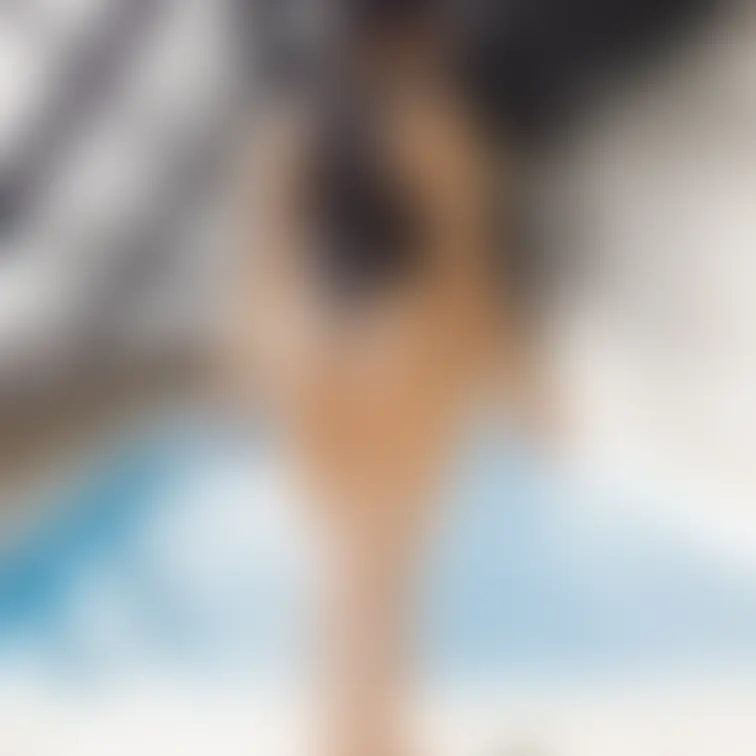 【見放題】📸高画質💖🍑例のプールでリアライズ撮影①
今回は例のプールでリアライズ撮影してもらいました😍💕