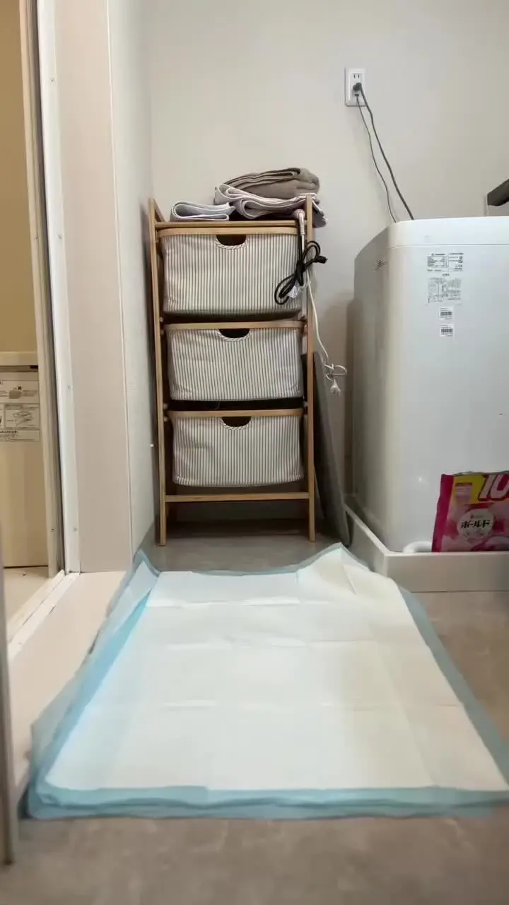 秘密のしーちゃん🤫「ペットシートの上でおしっこしちゃいました💦 トイレ以外の場所でおしっこするのって罪悪感がすごいですね😅💦 今回は敢えて脱衣所でおしっこしてみました♡」の投稿サムネイル