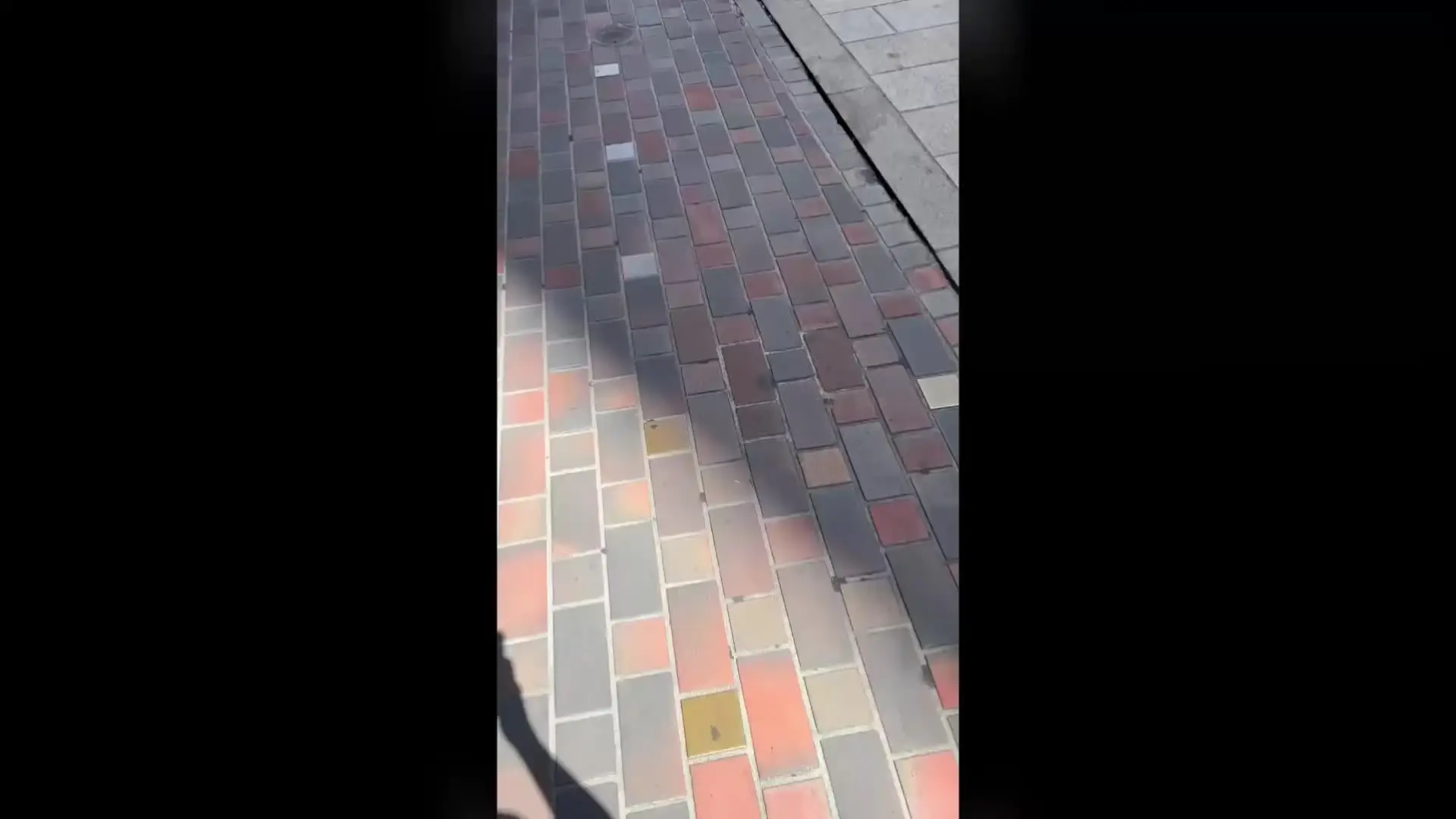 裏垢男子の性事情「🐨文章の最後に誰でも参加できるプレゼント企画あり🐨 🔥3日間限定価格🔥 通常価格「5980円」」の投稿サムネイル