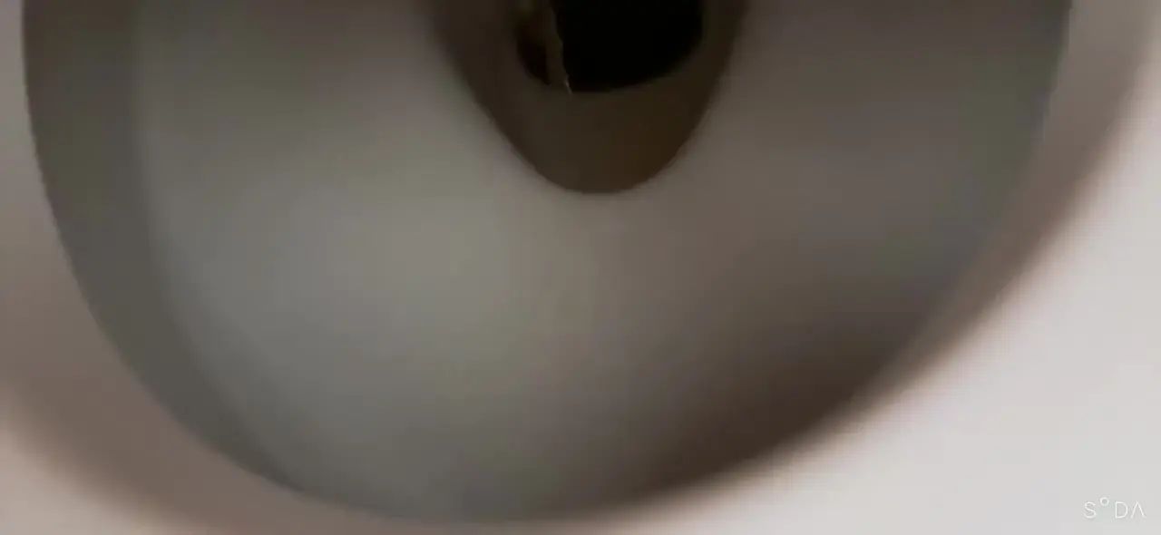 るる👙(🥼看護師目指す女子大生💉)「今日のおしっこ動画🥰」の投稿サムネイル