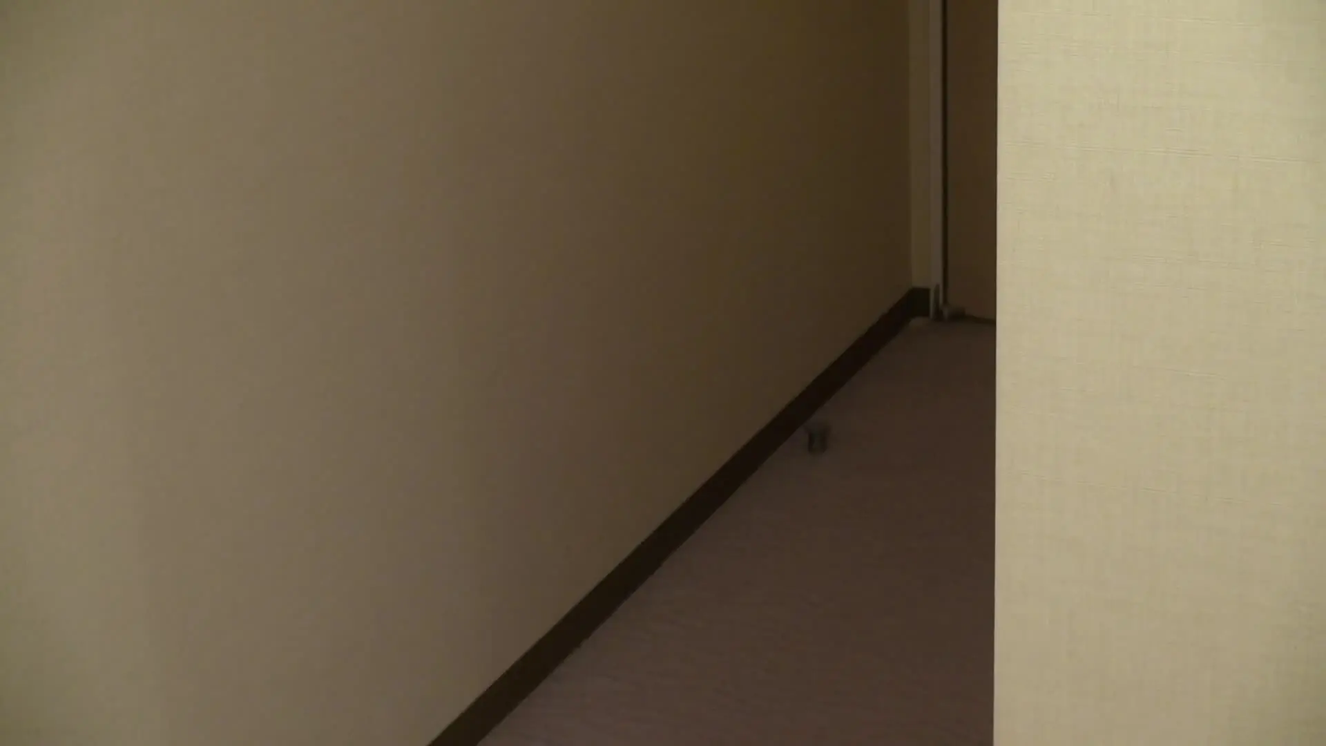 ドリハラ「見た目とエロのギャップが凄い！素人女性ななさん！賞金欲しさに真面目で清楚な美容部員さんが照れながら逆ナンパ！やっとゲットできた男は実は絶倫AV男優！仕事のストレ」の投稿サムネイル