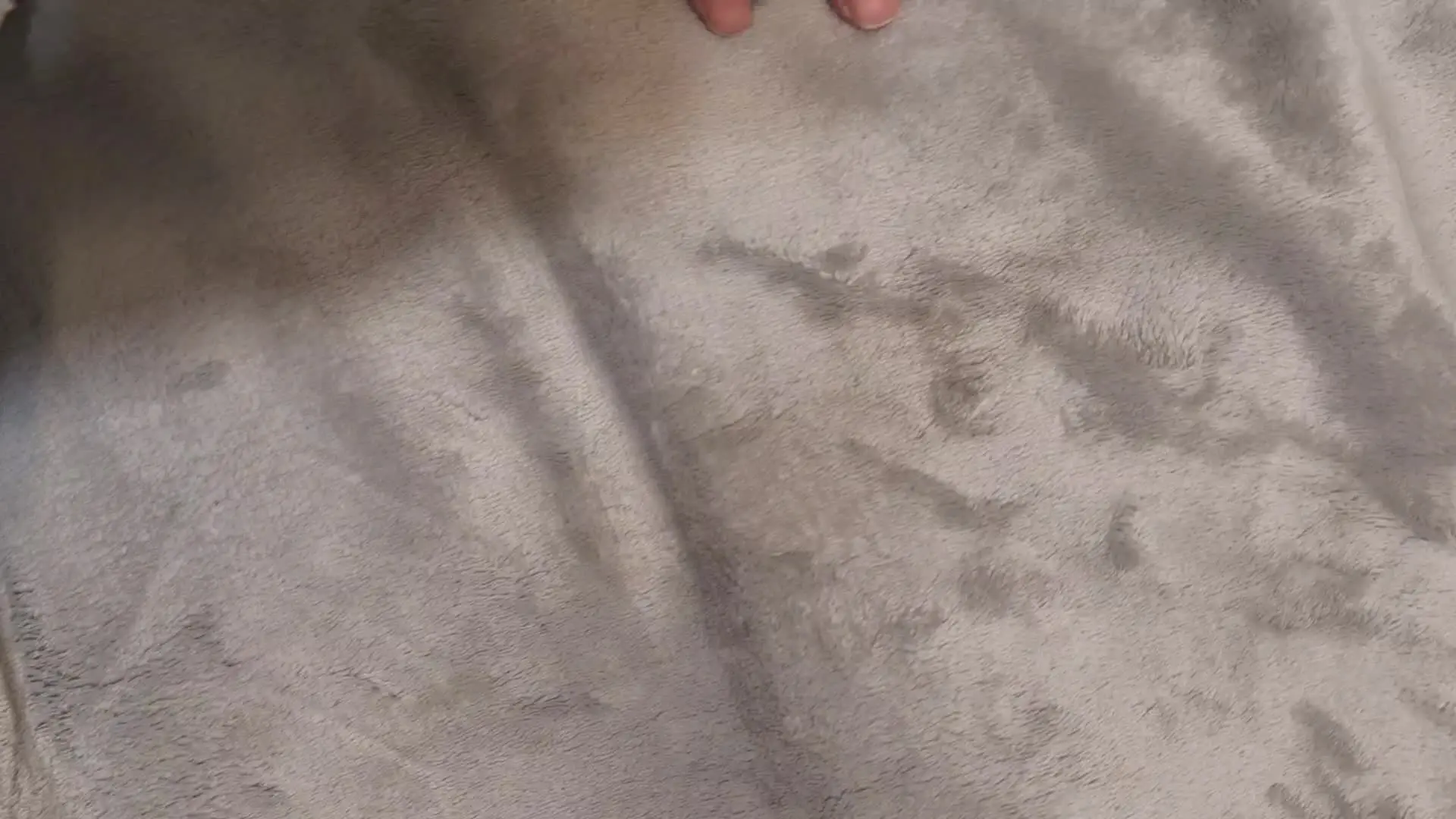 ボキーズフィットネス「新たに施術に来られた事務員さん。やはり、しゃがんだら見えていた。。。しゃがませることは重要です」の投稿サムネイル