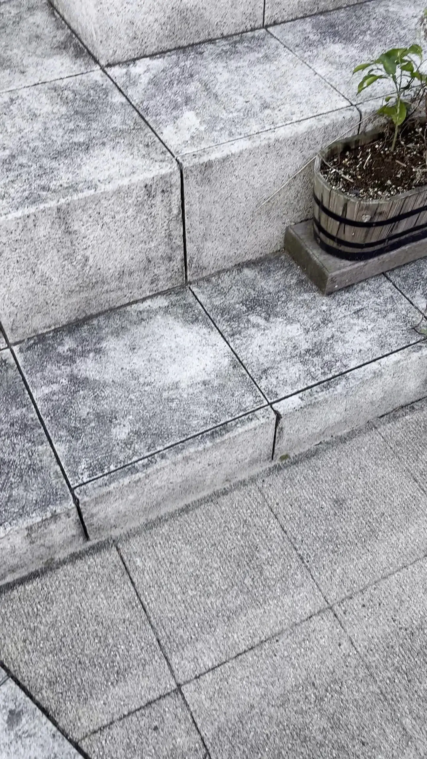 タカ♂生ぱん逆さ撮り📽️パンチラ「こんにちは～ 入学式シーズンですね。 街にはフレッシュな子がたくさん出てきて嬉しい限りですｗ」の投稿サムネイル