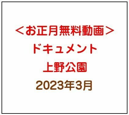 上野公園＃４　無料プランで見れます sample 1