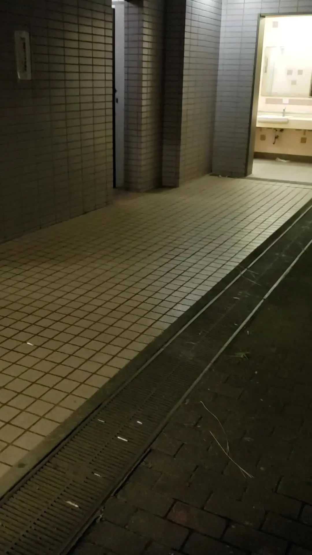 発展公園のトイレで露友達が居たので撮影。 sample 1