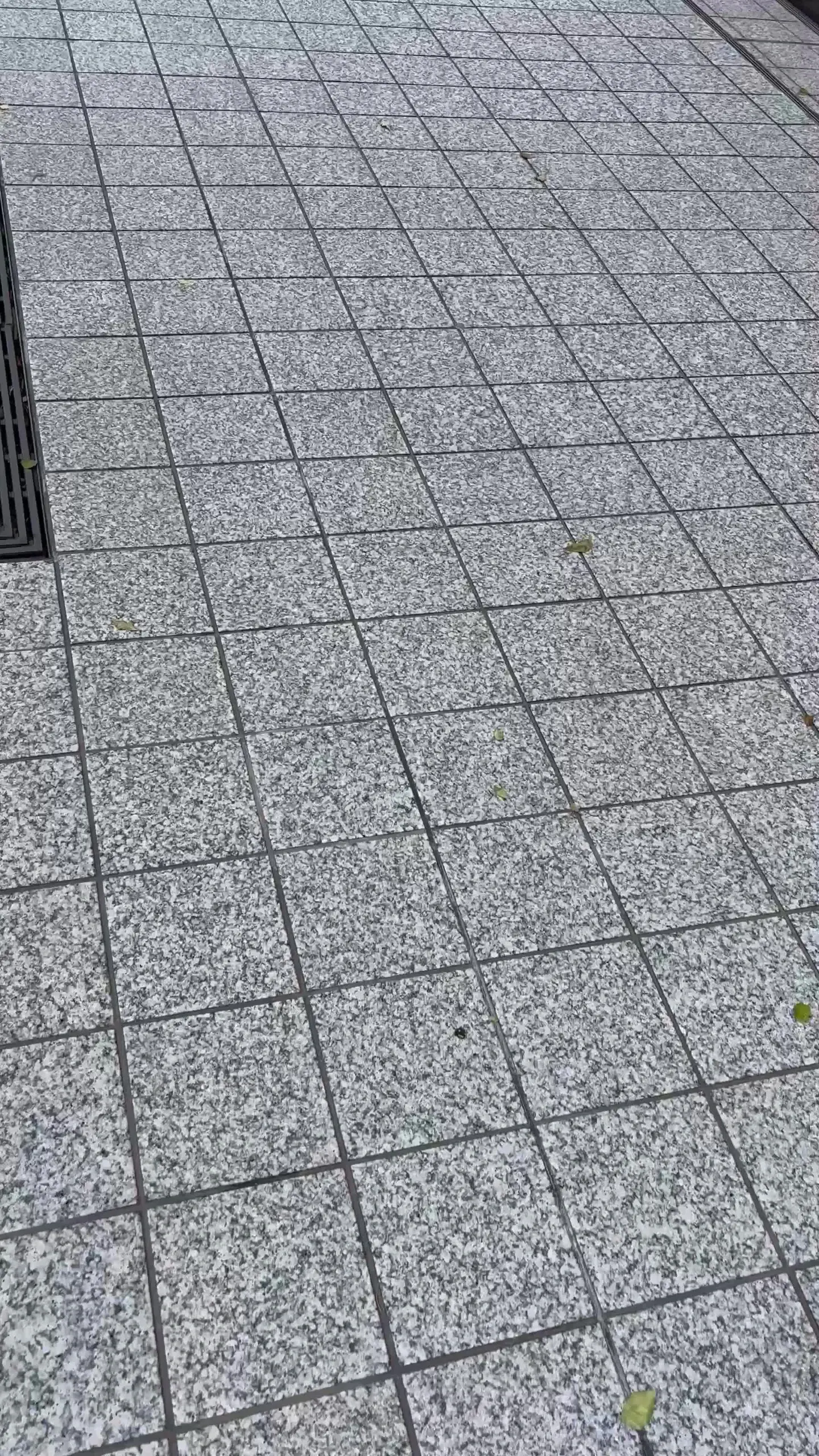 裏垢男子の日常「マッチングアプリで会った彼氏持ちEカップ女医ちゃんにおしっこみせてもらいました。ついでに中出し交尾してきた。(完全顔出し本編3時間09分)」の投稿サムネイル