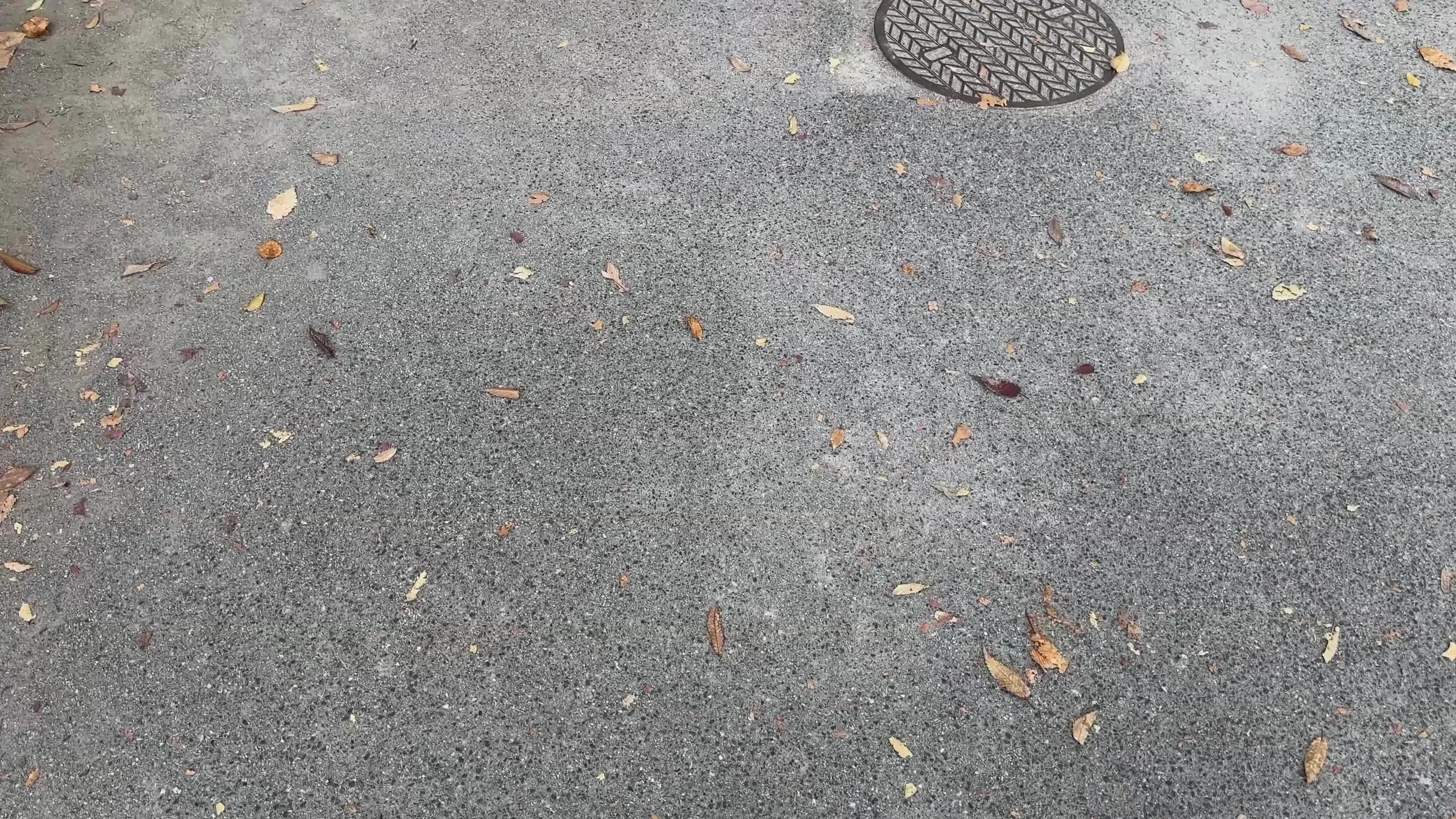 ぱこニャン！「イケメンに雑に車内でゴム無しハメ撮り中出し 🚨緊急速報🚨 「顔が良い男に弱い女」」の投稿サムネイル
