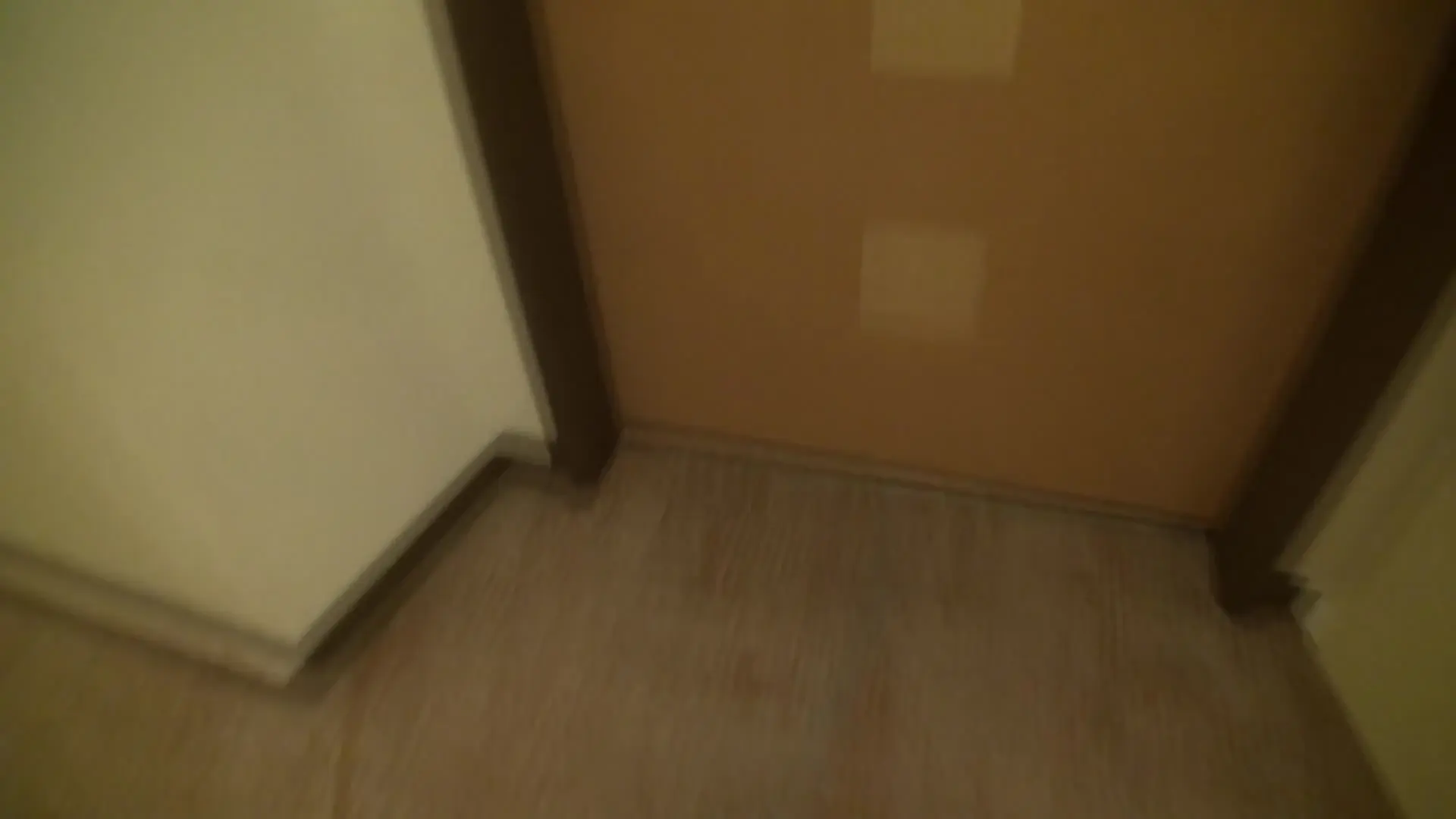 ドリハラ「初セックスで暴走した弟の止まらないピストンに中出しまで許してしまう姉の　まい！あり得ない状況に興奮しまくってタブー近親相姦に発展！弟の童貞チ○ポに不覚にもイキま」の投稿サムネイル