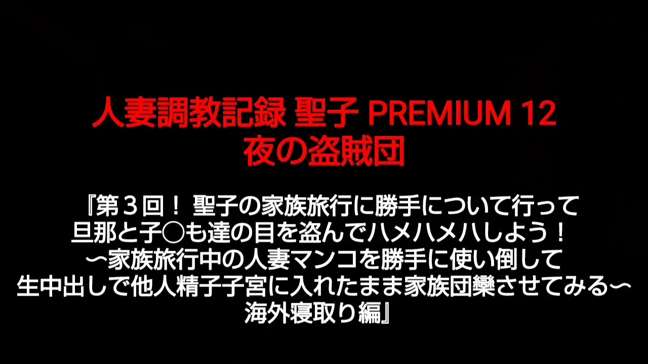 夜の盗賊団（NTR 人妻 托卵）「【人妻調教記録 聖子 PREMIUM 12】ですが、２日間徹夜してほぼ完成させました！ 前回、こちらでデータ消失した事を書いたことで気持ちがリセットされたのか、」の投稿サムネイル