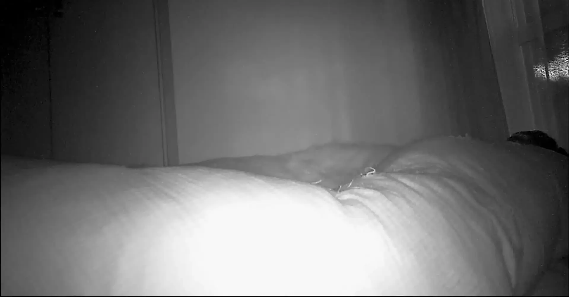 ♡復活♡D&M妻好き「❤️夫婦の営み動画🎥❤️ 部屋が真っ暗だったので画質が良くないのと、 なぜだか音声がほぼありませんが、」の投稿サムネイル