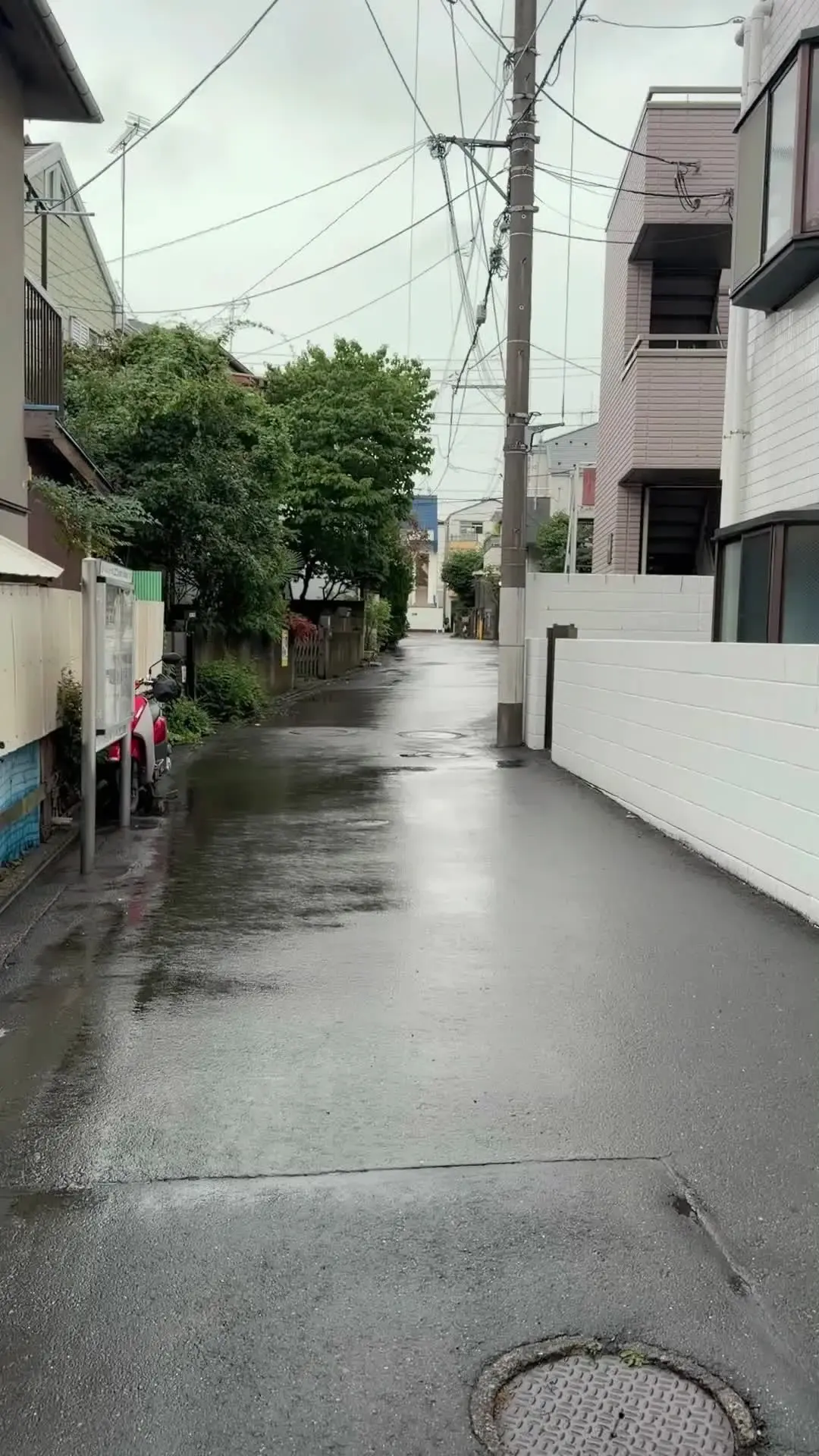 樹のNTR日記「【色白人妻NTR】結婚から1年が経ち、理想の夫との生活の裏で誰にも打ち明けられない悩みを抱え続けた23歳人妻さんとの自宅密会。」の投稿サムネイル