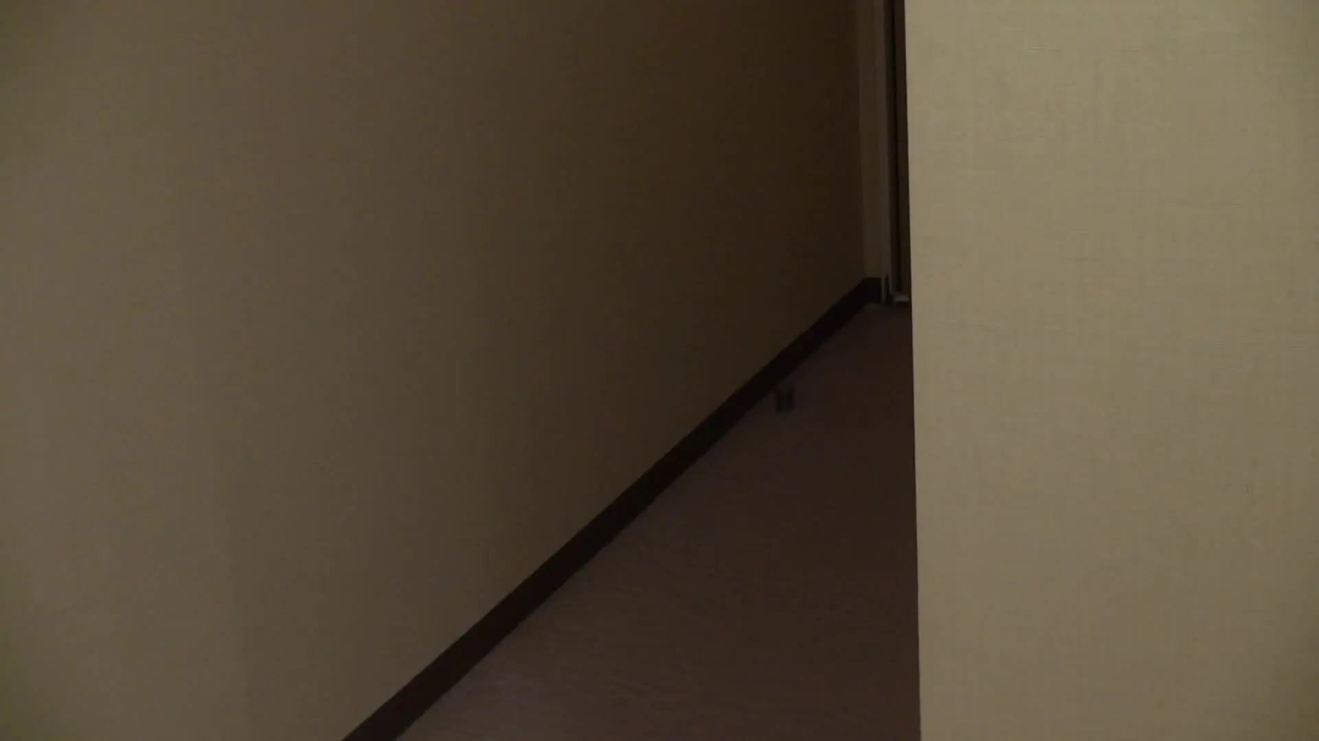 ドリハラ「見た目とエロのギャップが凄い！素人女性ひなのさん！賞金欲しさに真面目で清楚な美容部員さんが照れながら逆ナンパ！やっとゲットできた男は実は絶倫AV男優！仕事のスト」の投稿サムネイル
