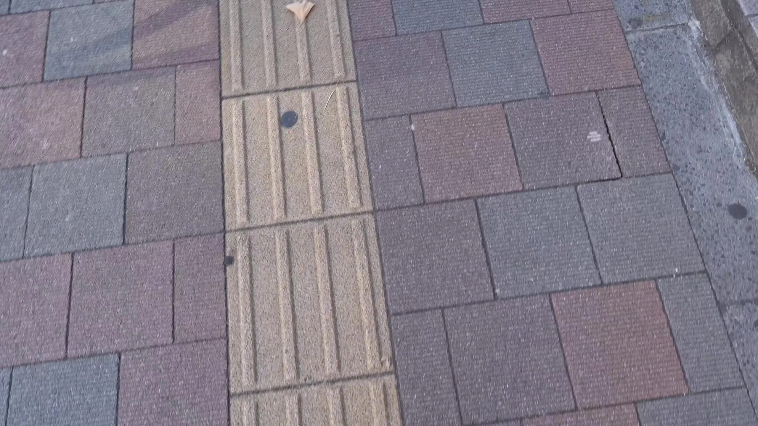 ぱこニャン！「全肯定長乳Ｊカップ潮吹き女子大生 最近は性的役割がどうとかとか賢しらなことを言って、本来の女の子の役割を軽視する輩が多いみたいで嘆かわしいにゃんね～😿 どう考え」の投稿サムネイル