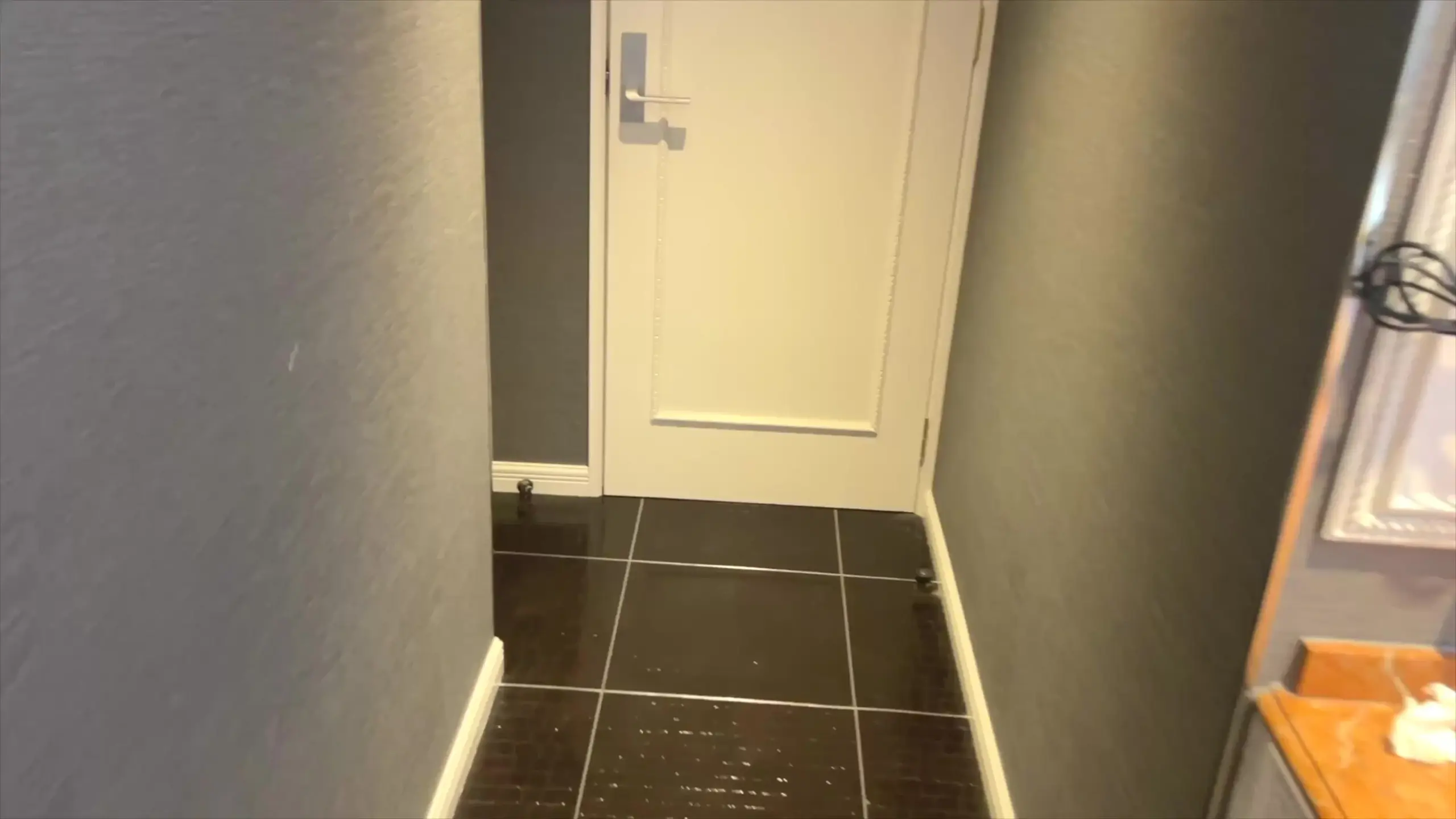 大学生の性事情。「これはこれは、かなりシコい動画が出来上がってしまって、急いで編集終わらせました。」の投稿サムネイル