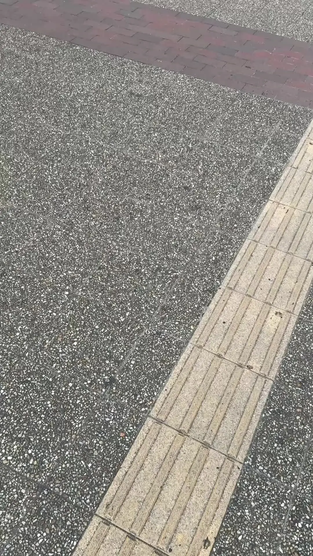 裏垢男子の日常🏖️2日に1本ペースで新作公開中🍉「"完全顔出し"元ミス青学ちゃんをホテル連れ込み成功笑服脱がせたら身体えぐかった。ぼくのアカウントを昔から見てくれてるらしい。」の投稿サムネイル