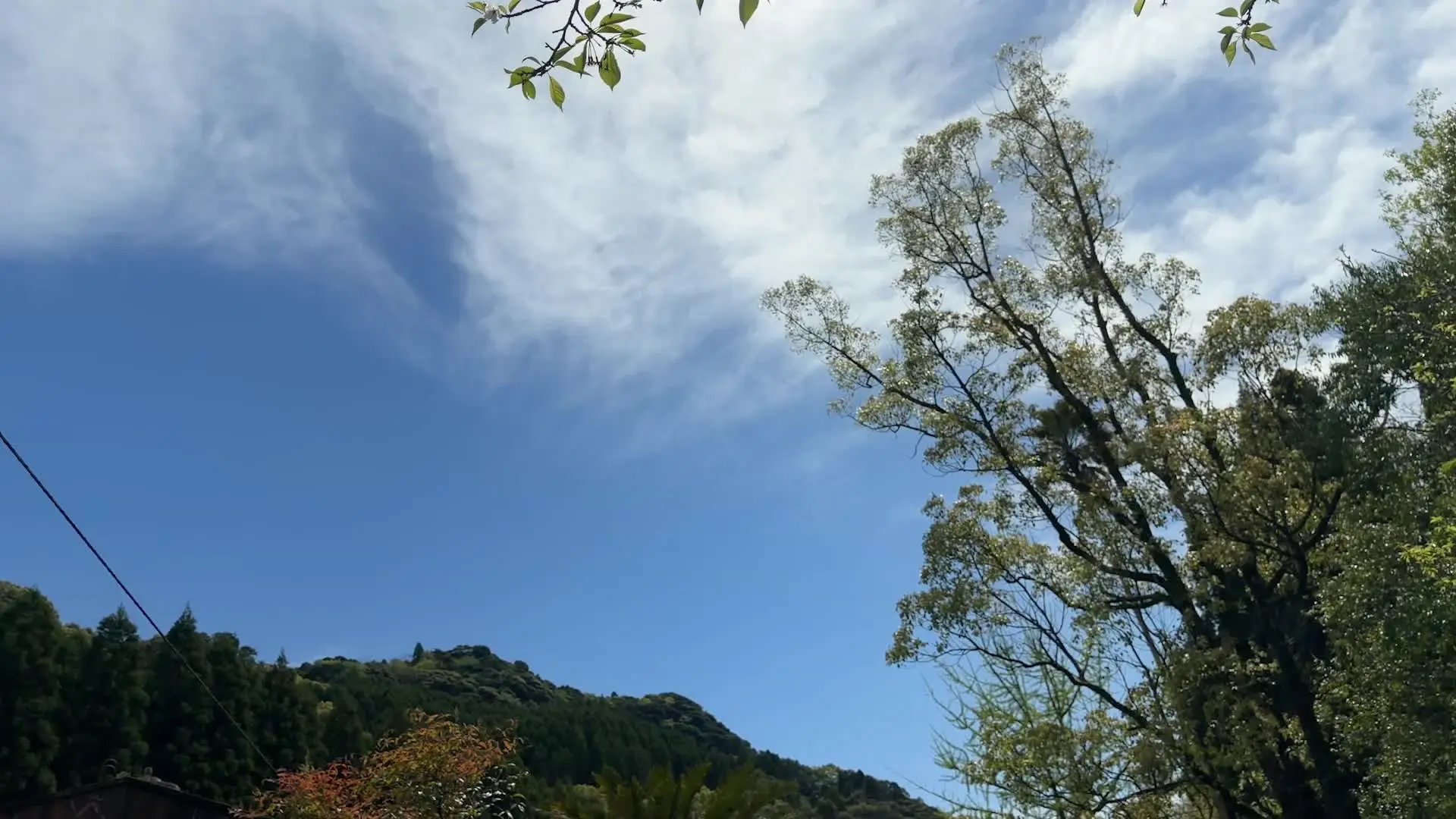 かほ♨️ほかほか「鹿児島 実質貸切風呂 ナトリウム 塩化物 炭酸水素塩泉 ph6.8 源泉温度38.4度の源泉掛け流しで浴槽内35度」の投稿サムネイル