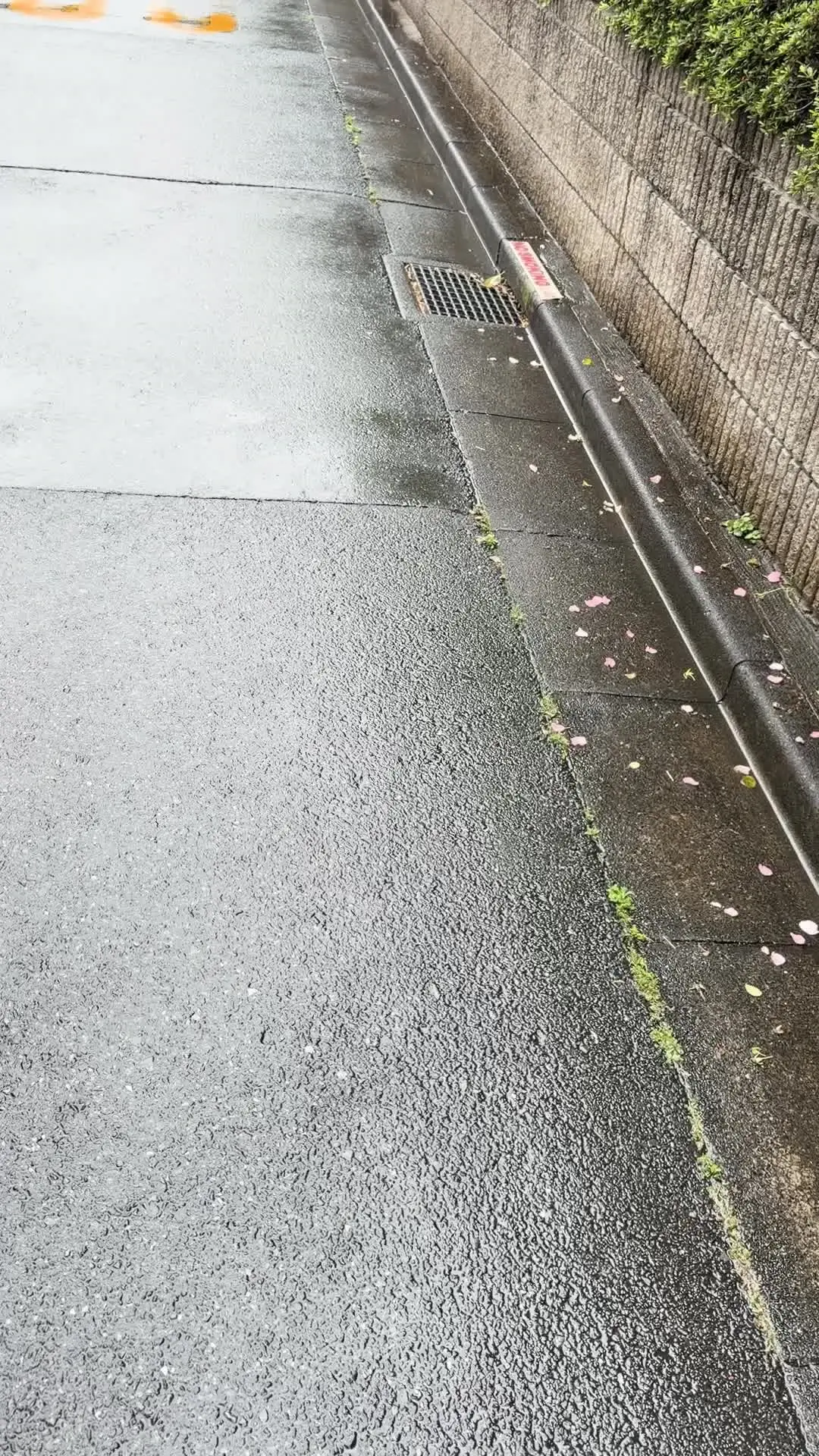 樹のNTR日記「【放送事故】美人妻が他人棒でガチメスの顔になった結果、旦那ブチギレ途中退場の修羅場NTR。」の投稿サムネイル