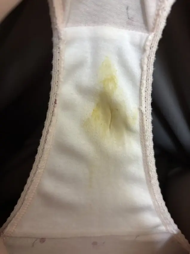 るる👙(🥼看護師目指す女子大生💉)「今日のルルの脱ぎたてパンツ😊」の投稿サムネイル